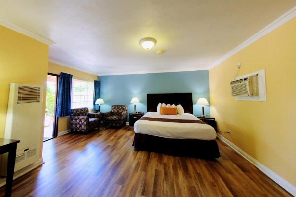 Palm Tropics Motel image 17