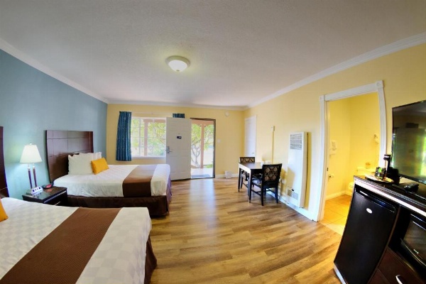 Palm Tropics Motel image 27