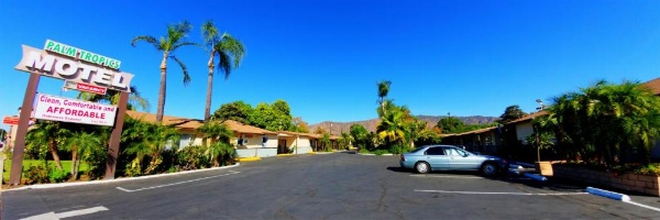 Palm Tropics Motel image 8